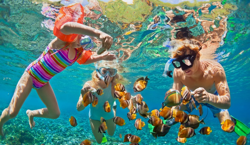 Snorkeling no Gunga- Onde Encontrar as Piscinas Naturais Mais Limpas e Seguras