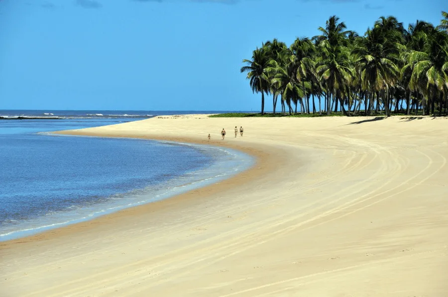 Como Chegar à Praia do Gunga- Rotas, Transporte e Tarifas em 2025